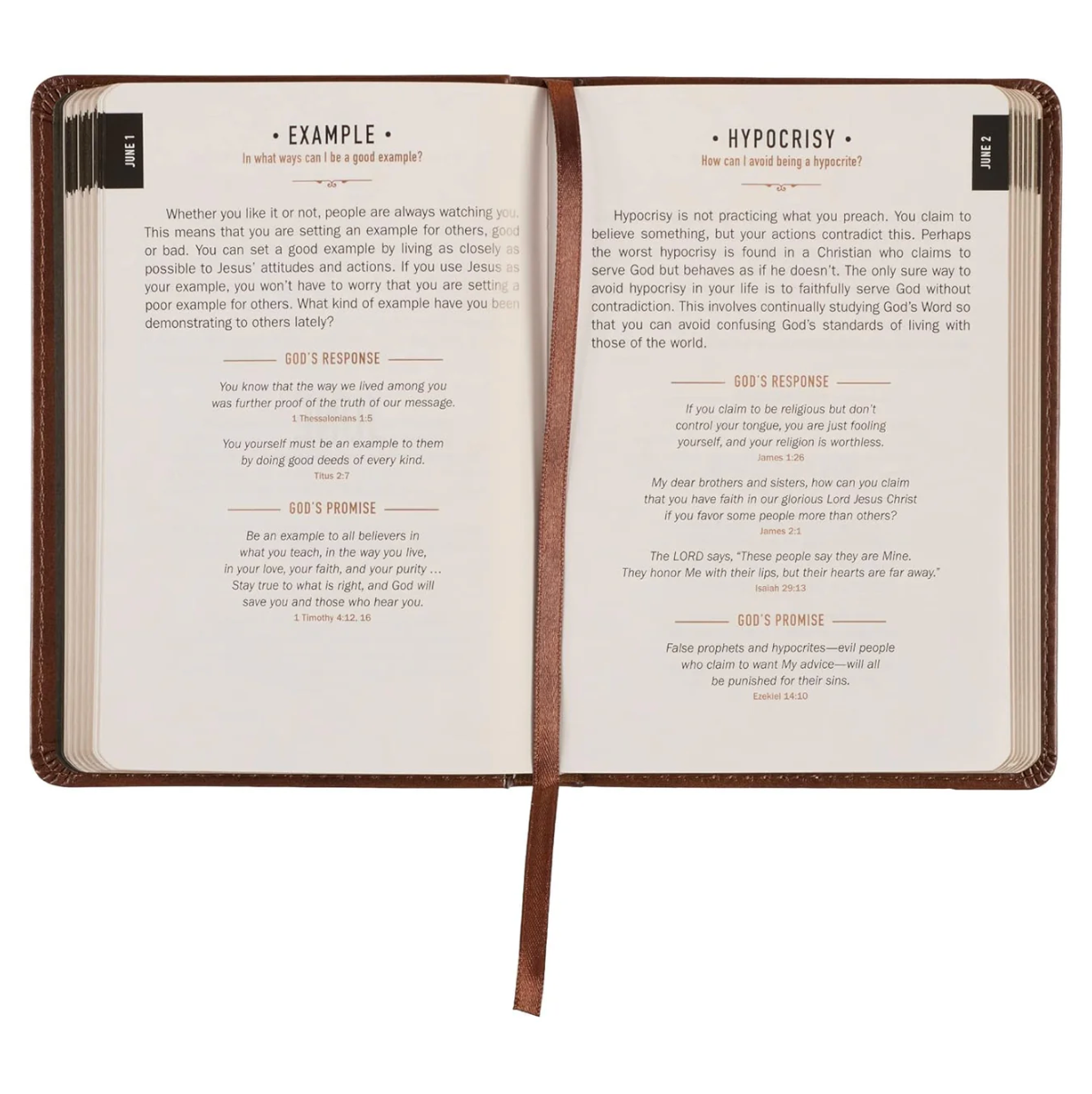 365-Day Men's Devotional Journal | Daily Devotion Co.